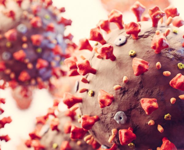 Blog NutriEffect: Coronavirus, tutto quello che c'è da sapere